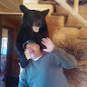 <strong>Verg Adkins</strong>